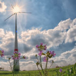 Keeping Your Dream Fresh