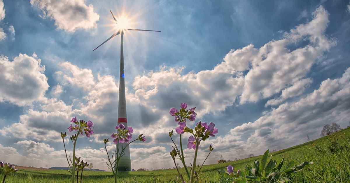 Keeping Your Dream Fresh