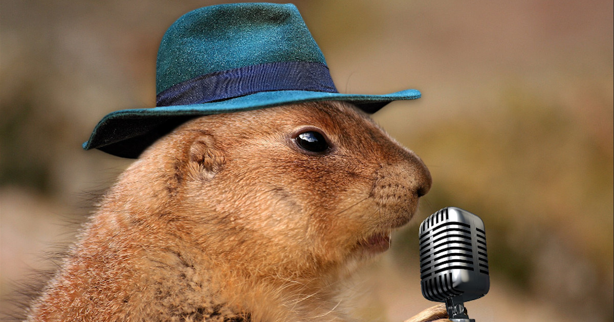 Translating Your Expertise