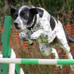 Am I Too Old to Start Something New?