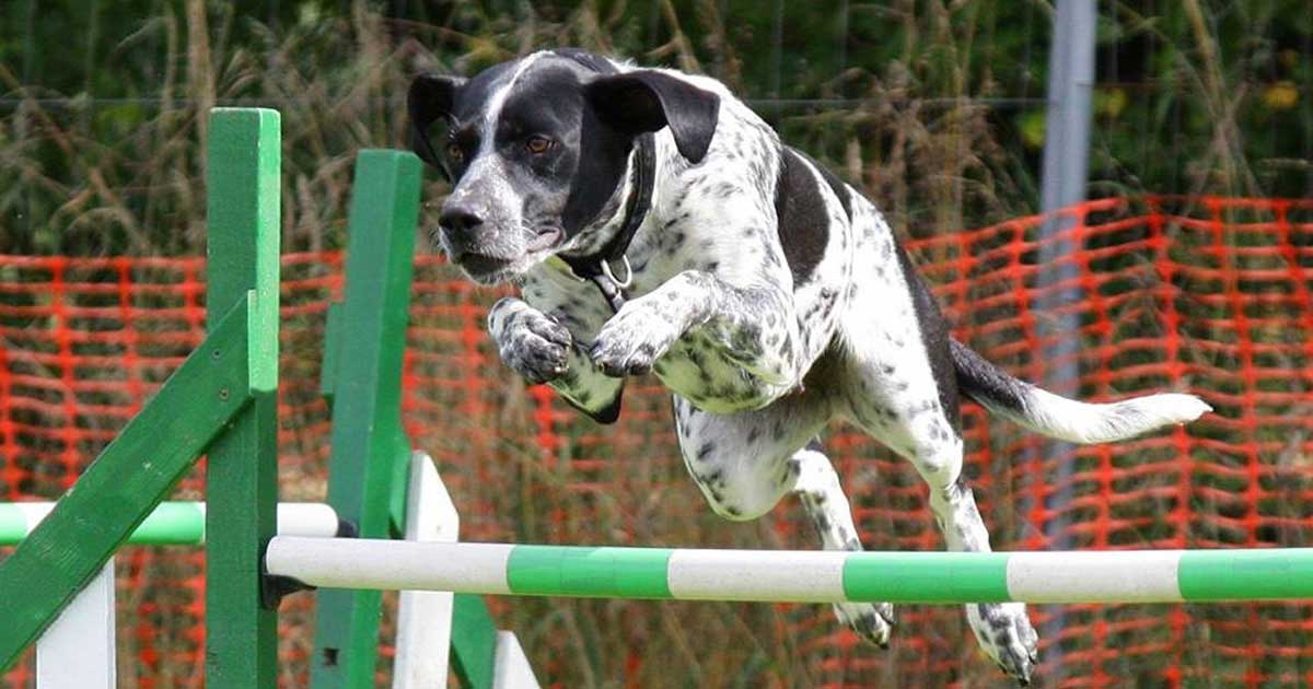 Am I Too Old to Start Something New?