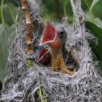 Are You Ready for More? Are You Ready For More