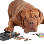 Do I Really Have To Track All My Money To The Penny