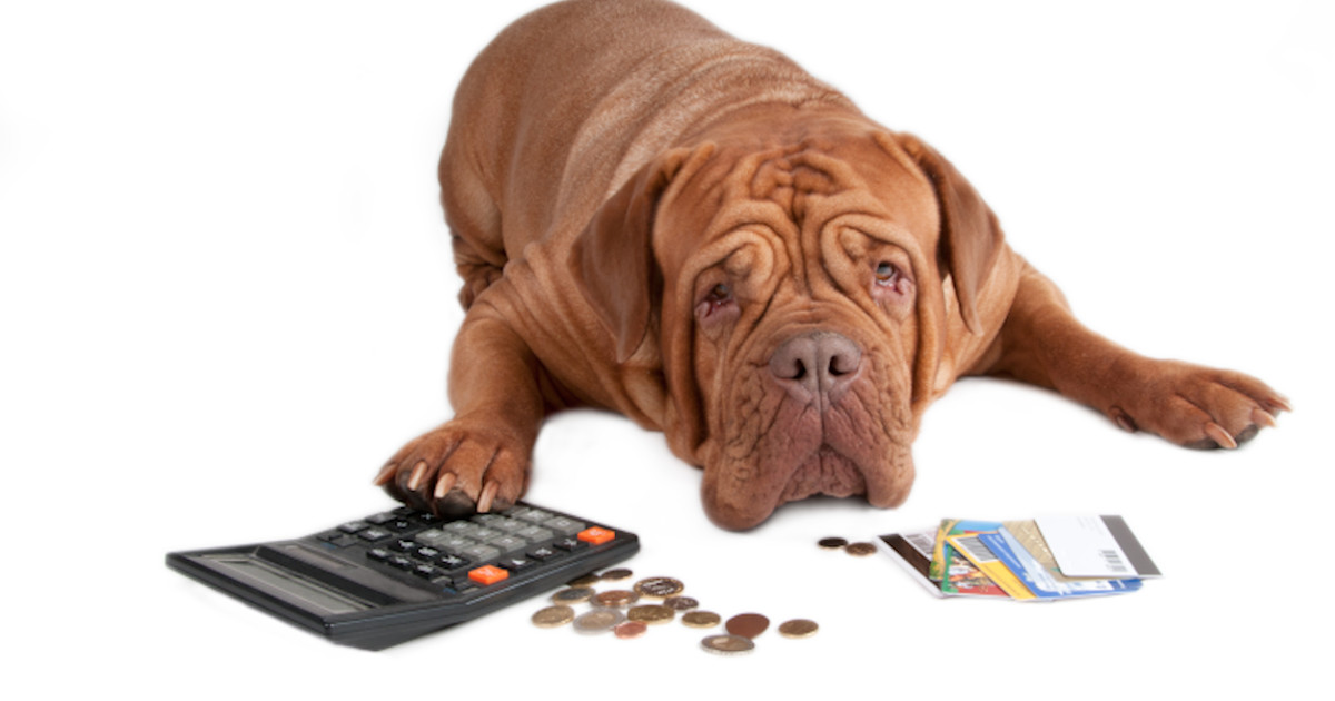 Do I Really Have To Track All My Money To The Penny