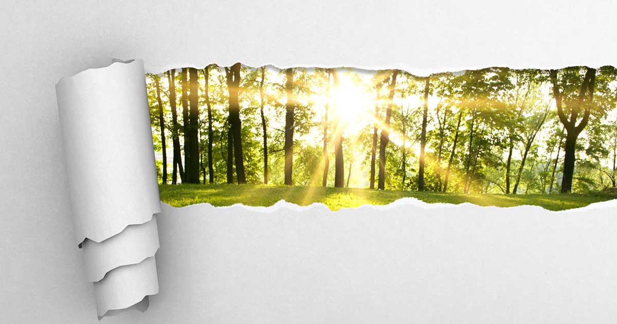 ClearingMoneyClutter