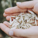 Abundance If You Please