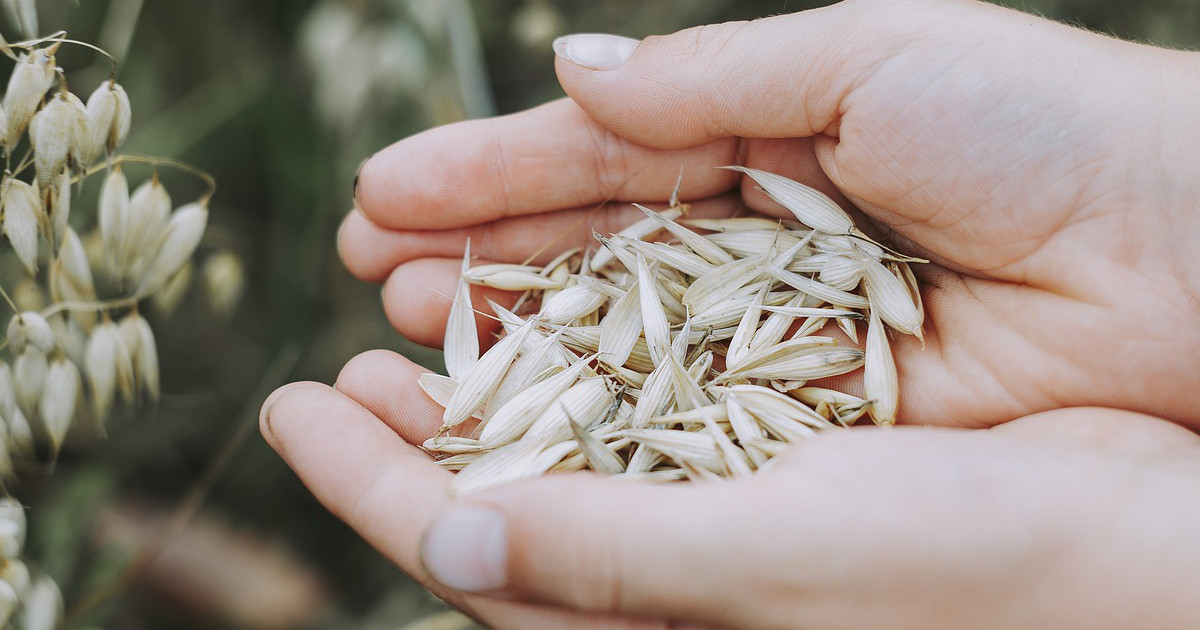 Abundance If You Please