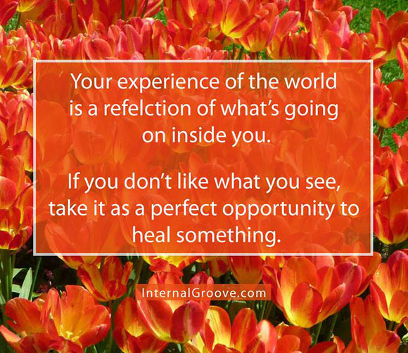 Your experience of the world