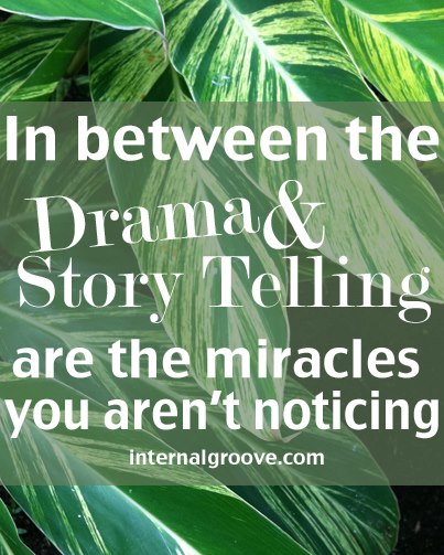 In Between the Drama and the Story Telling Are the Miracles You Aren't Noticing