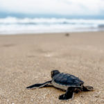 Are You Communicating Clearly With Your Inner GPS