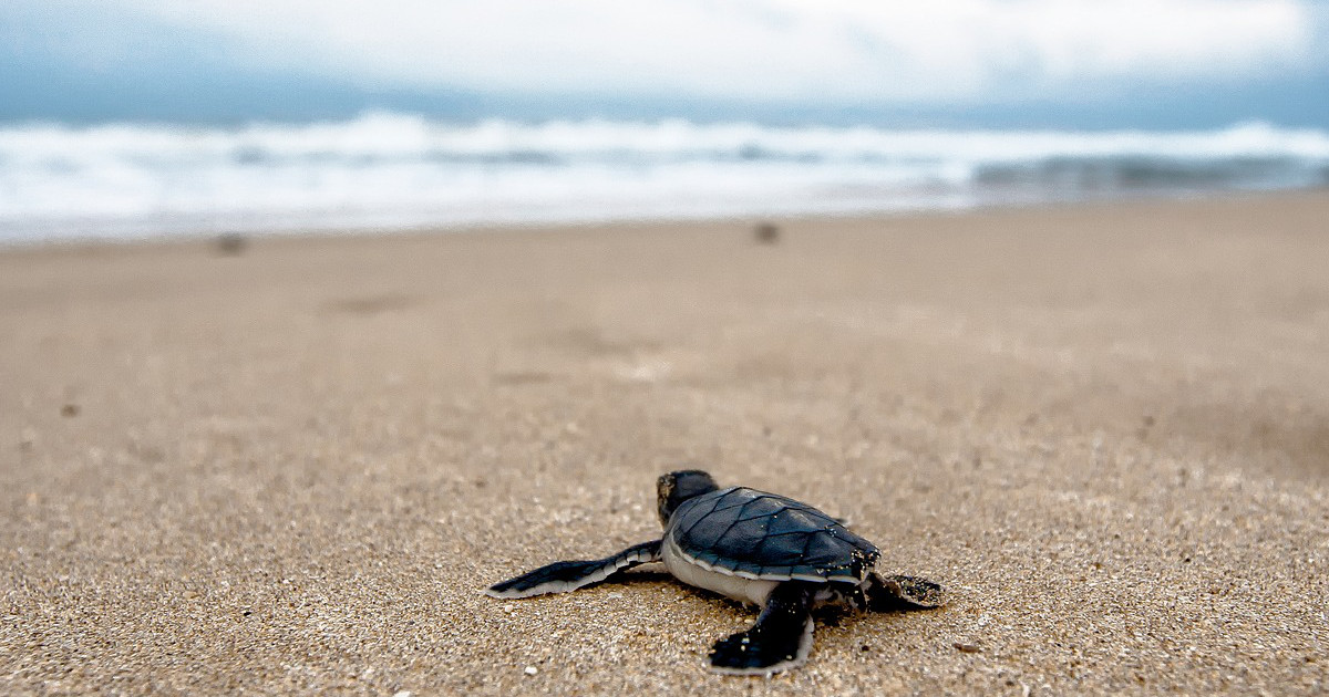 Are You Communicating Clearly With Your Inner GPS