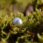 You’ve Got the Goods You’ve Got the Goods