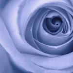 What Birthdays and Terrible Emergencies Can Have in Common