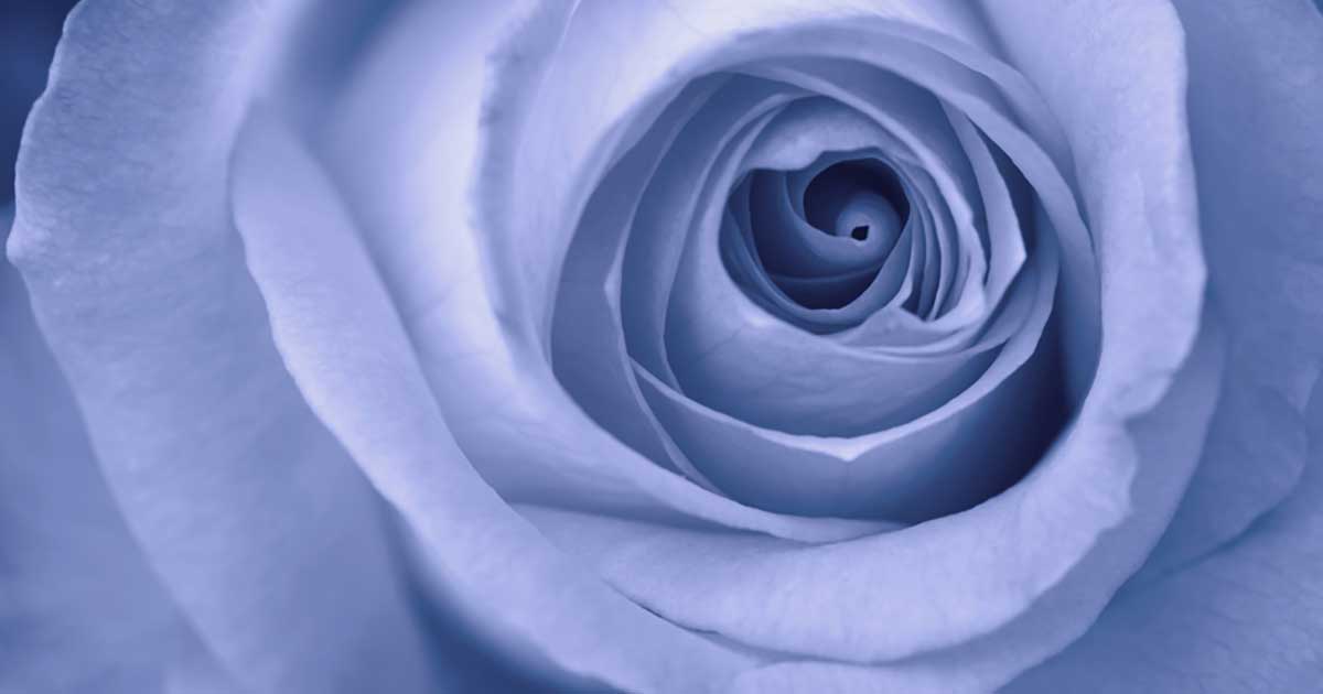 What Birthdays and Terrible Emergencies Can Have in Common