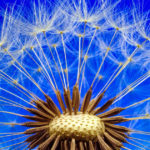 Listen To The Screams of Your Soul