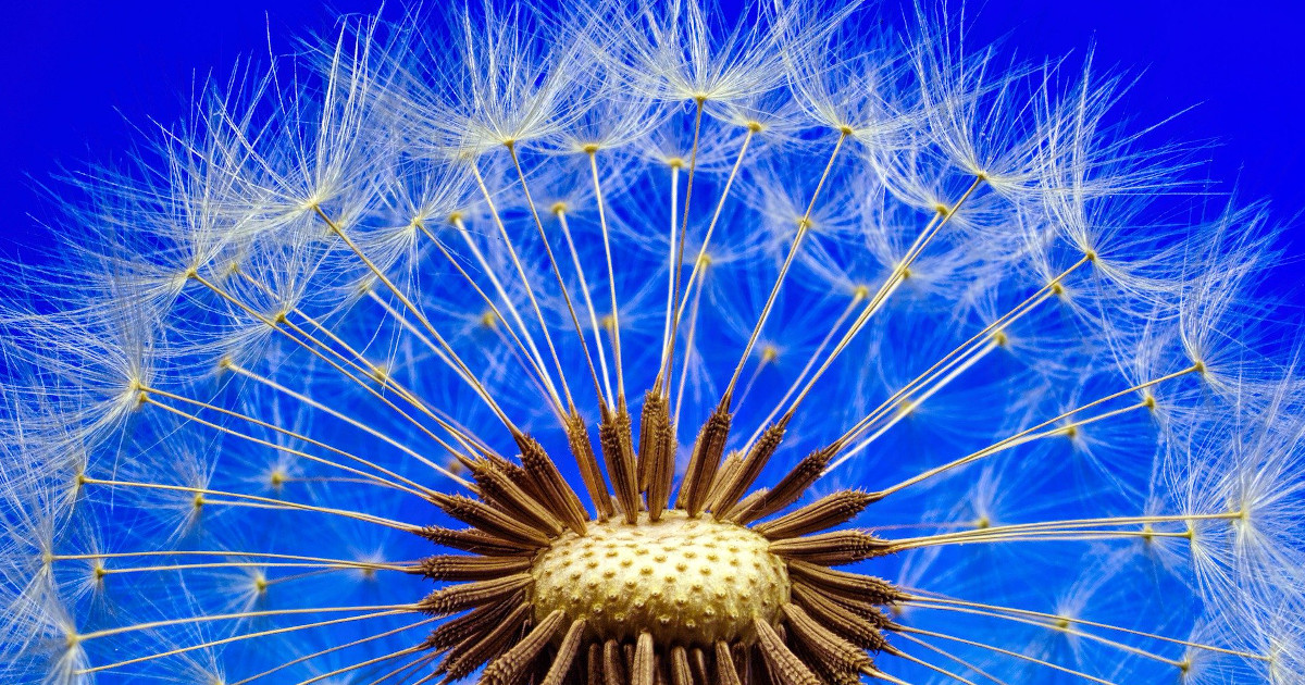 Listen To The Screams of Your Soul