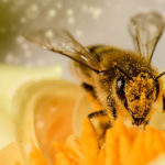 Earn Your Money The Right Way