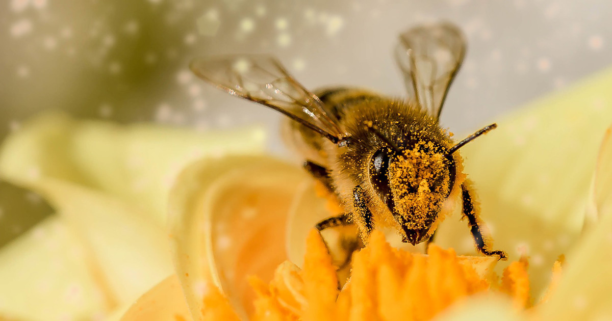 Earn Your Money The Right Way