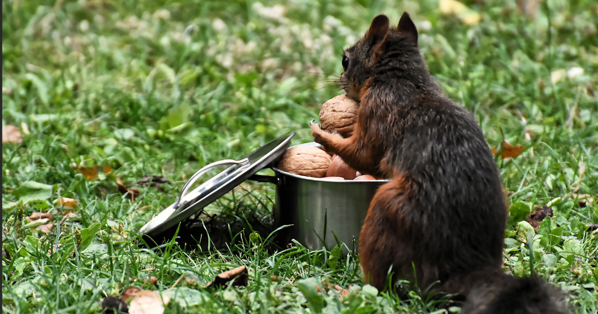 Open The Box of Productivity