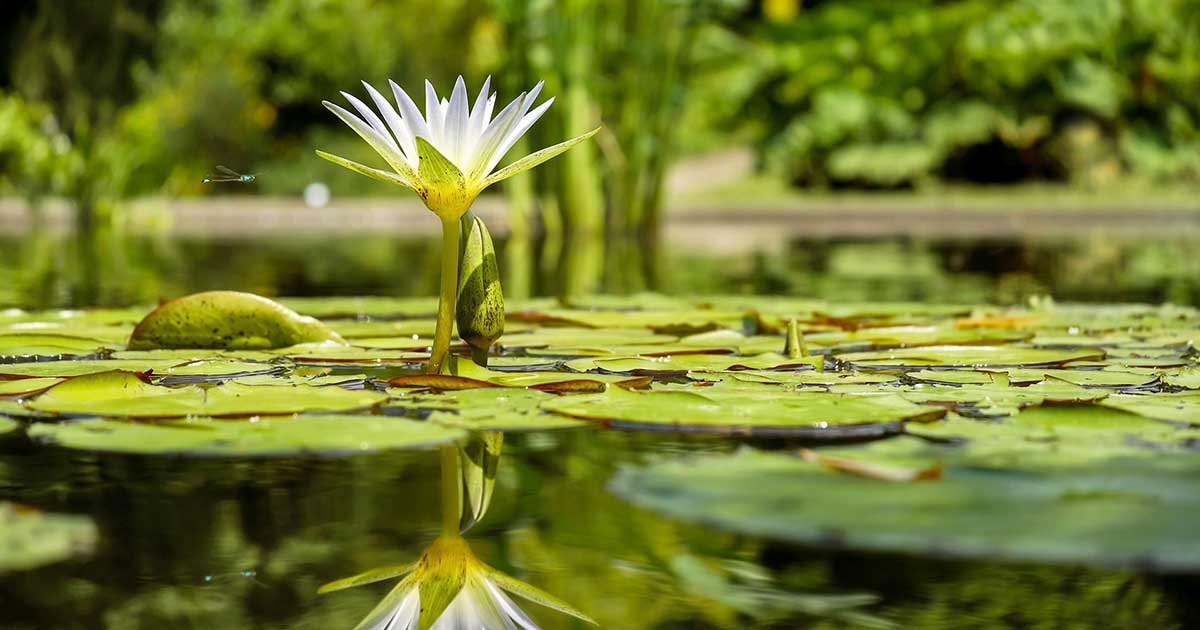 FindValueInAllYourExperiences