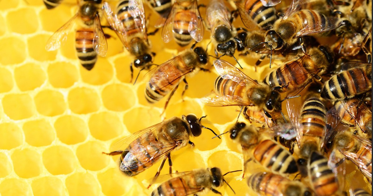 Get Seriously Productive