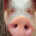 Isn’t That Interesting?