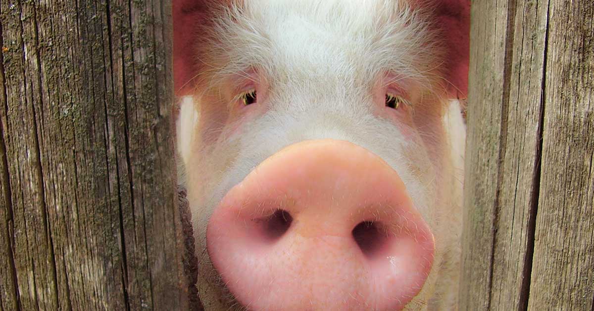 Isn’t That Interesting?