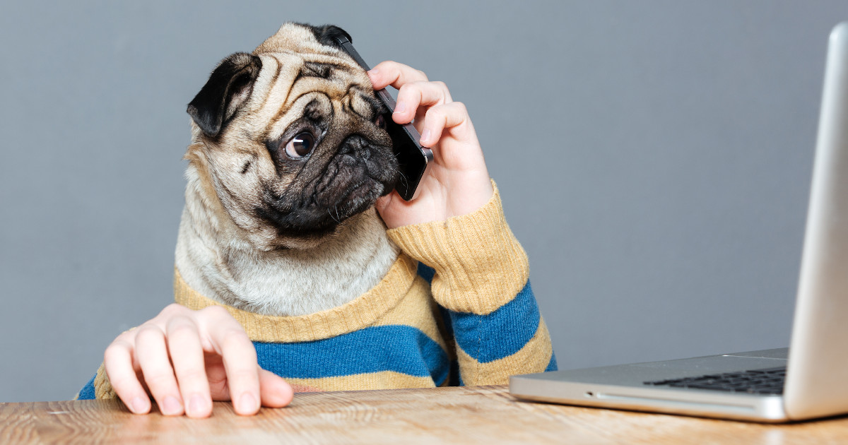 What Is The Most Important Thing To Do After You Send A Cover Letter