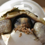 Are You Living On Purpose