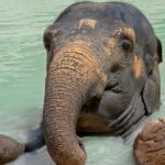 Dally No More - easy trick to snap yourself out of procrastination mode