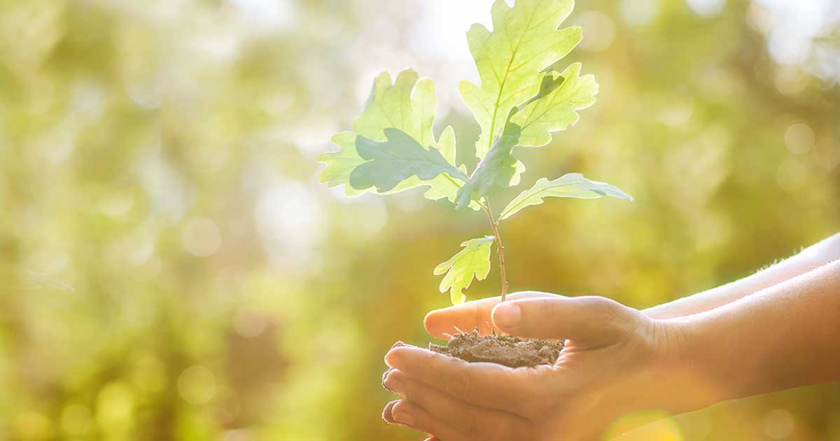 Grow Your Self Worth