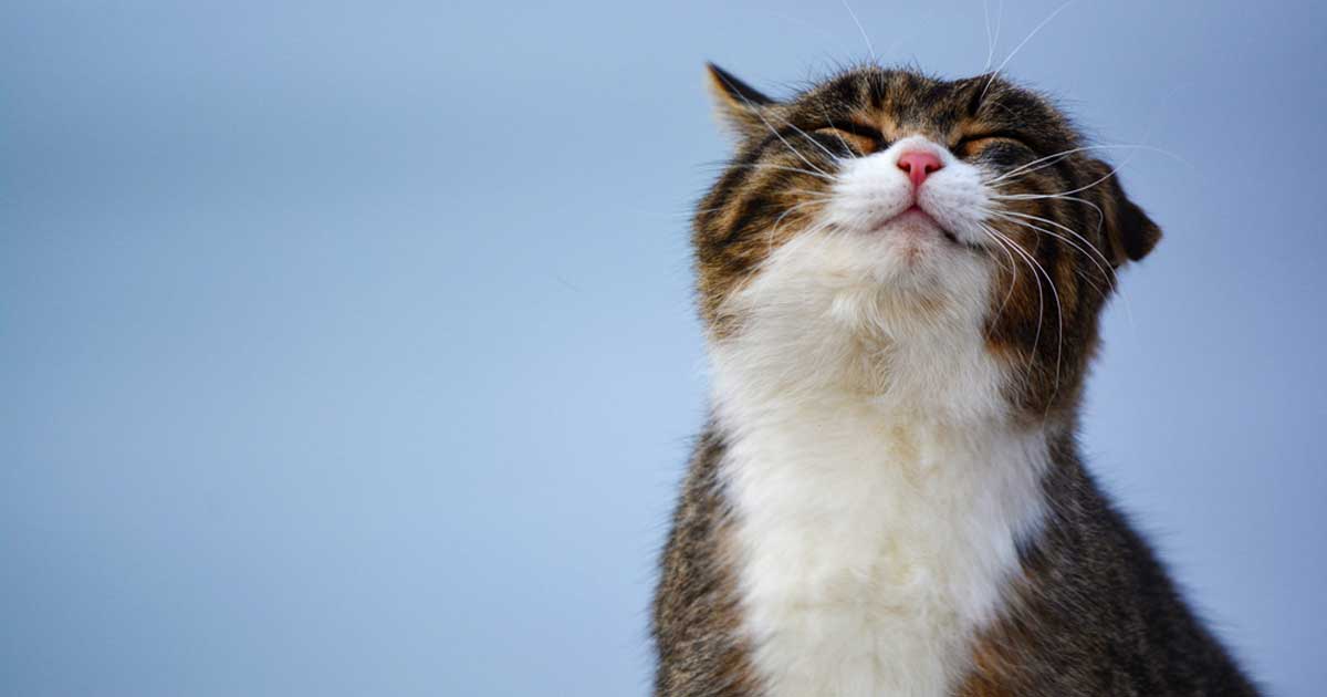 Success - master yourself