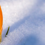 The Importance of Setting Intentions The Importance of Setting Intentions