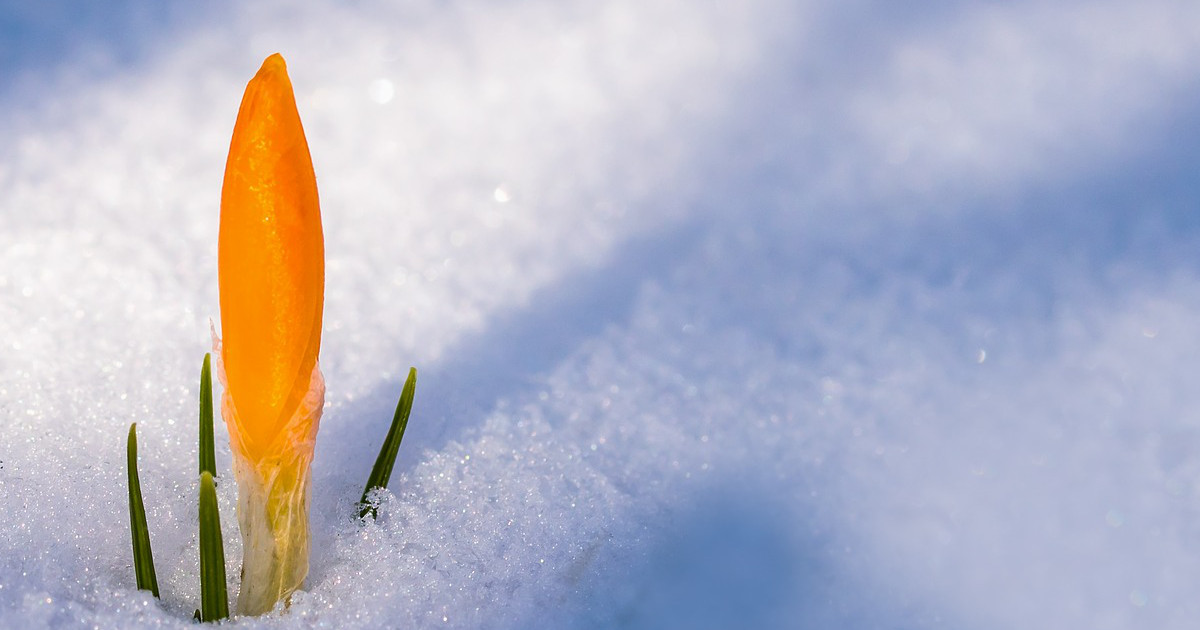 The Importance of Setting Intentions