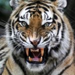 Self-Management and standing in your personal power help you avoid the pitfalls of your mind