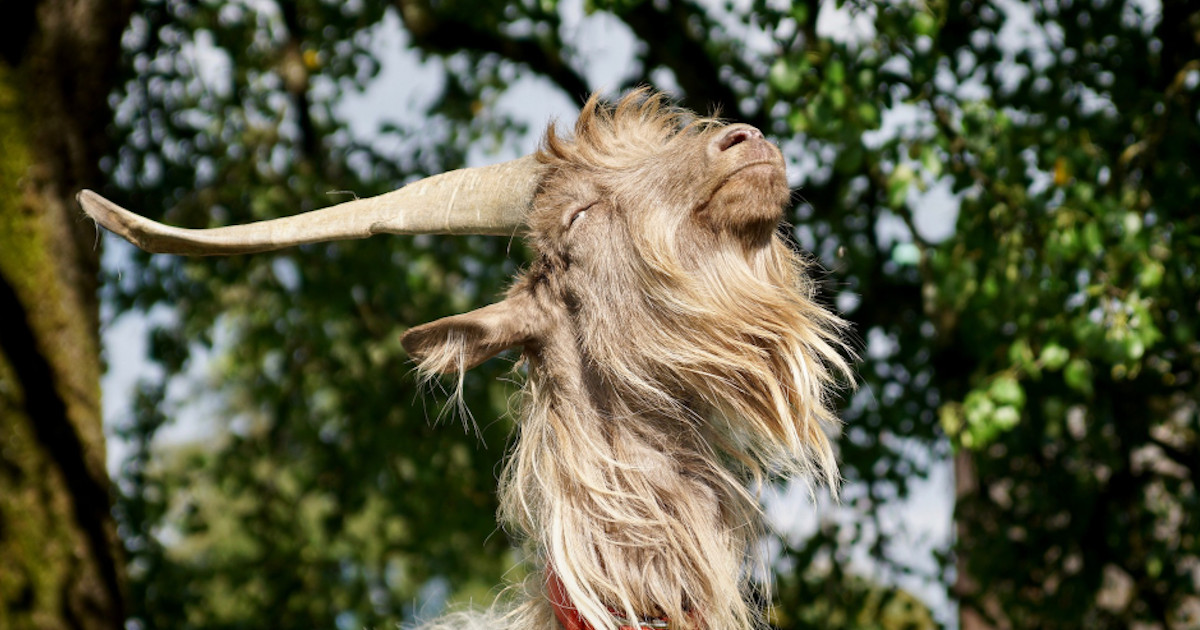 Trust Your Own Value