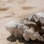 Step Out of Scarcity