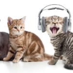 Crank It Up and Breathe It Out