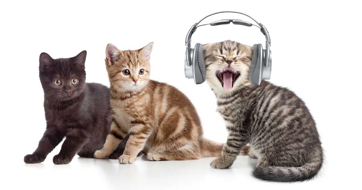 Crank It Up and Breathe It Out