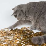 How You Do Money Is How You Do Everything