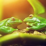 It Takes Two It Takes Two