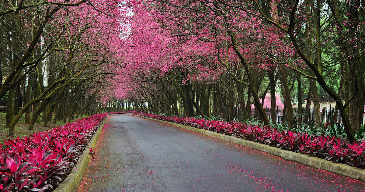 Boldly Go Where Job Boards Do Not Lead