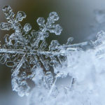 A Personal Touch A Personal Touch