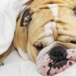 The S Word - Stop Shoulding on Yourself