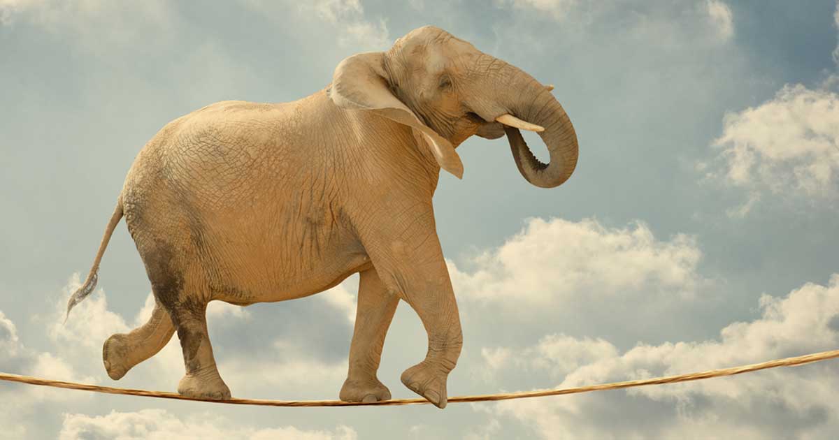 A Work in Progress - Interview Skills - Reframing Weaknesses