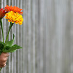 What Can I Do For You