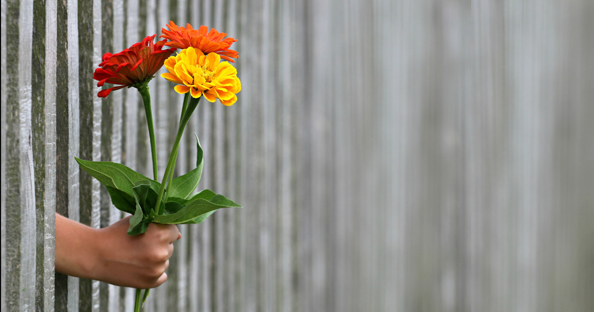 What Can I Do For You