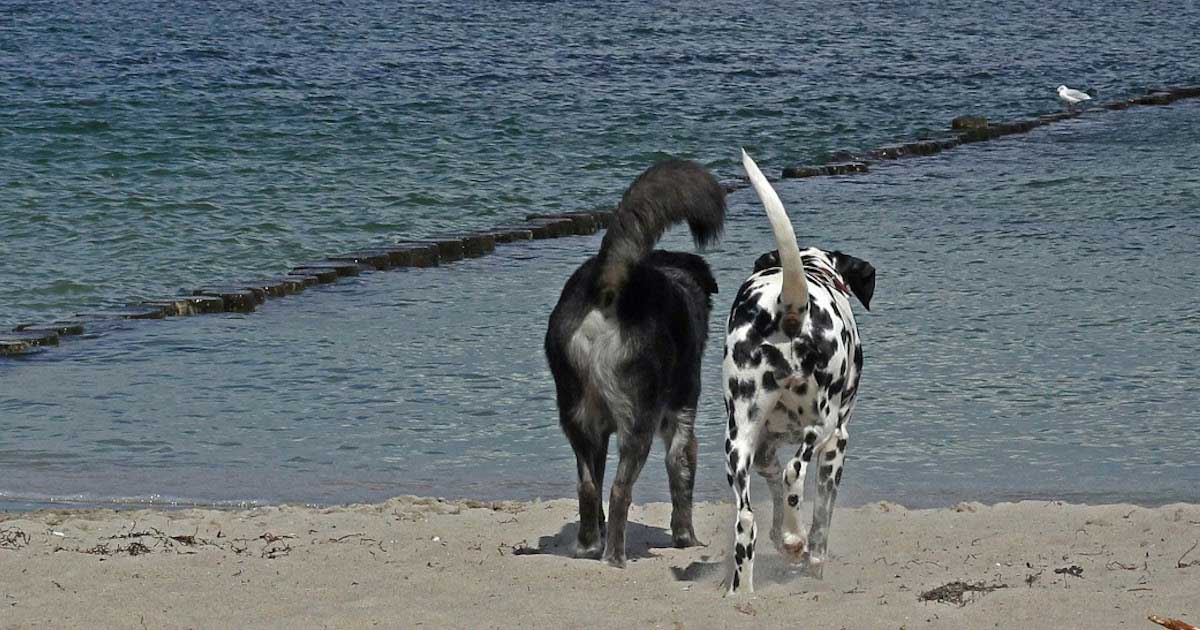 Do You Know Who You're Talking to?