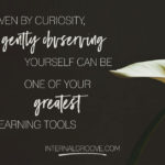 Driven by curiosity, gently observing yourself can be one of your greatest learning tools