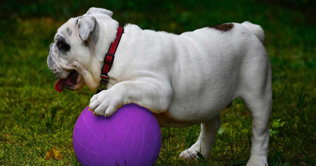 Motivational Motives